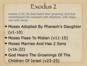 Exodus 2 Outline