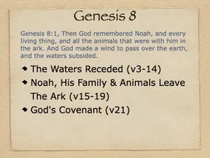 Genesis 8 Outline