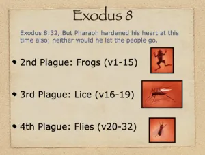 Exodus 8 Outline