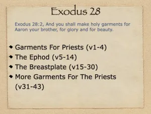 Exodus 28 Outline