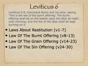Leviticus 6 Outline