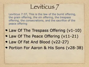 Leviticus 7 Outline