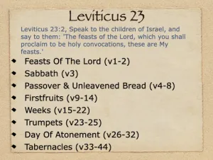 Leviticus 23 Outline