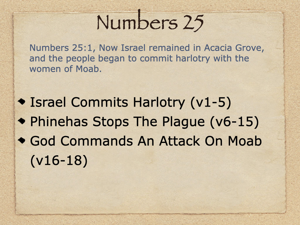 Numbers 25 Study Numbers 25 on FerventWord