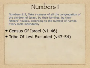 Numbers 1 Outline