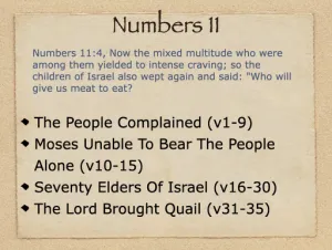 Numbers 11 Outline