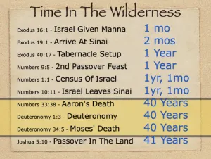 Numbers 14 - Time In The Wilderness
