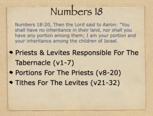 Numbers 18 Outline