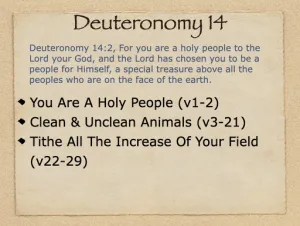 Deuteronomy 14 Outline