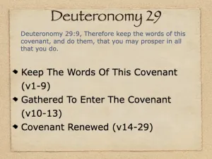 Deuteronomy 29 Outline