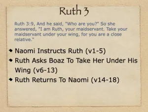 Ruth 3 Outline