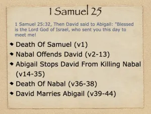 1 Samuel 25 Outline