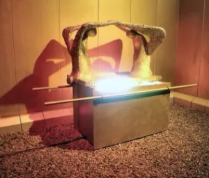 1 Chronicles 13-14 - Ark Of The Covenant