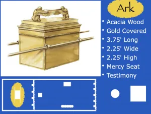 1 Chronicles 13 - Ark Of The Covenant