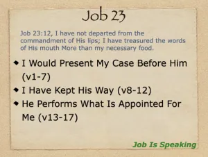 Job 23 Outline