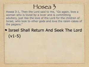 Hosea 3 Outline