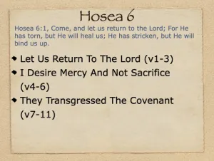 Hosea 6 Outline