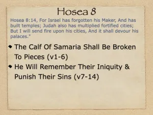 Hosea 8 Outline