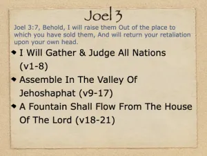 Joel 3 Outline