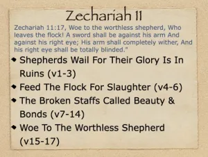 Zechariah 11 Outline