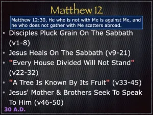 Matthew 12 Outline
