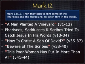 Mark 12 Outline