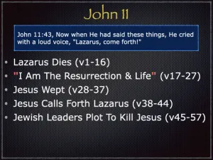 John 11 Outline