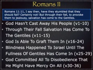 Romans 11 Outline