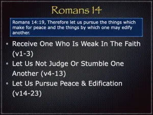 Romans 14 Outline