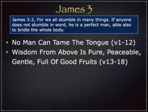 James 3 Outline